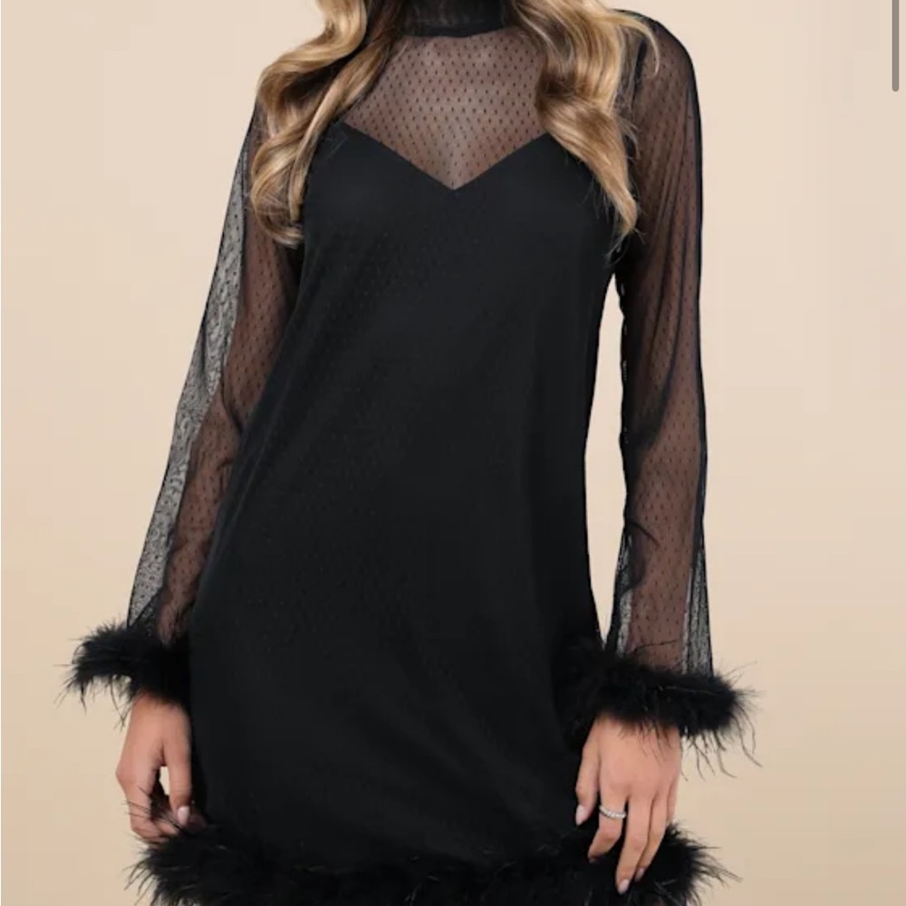 NWT Black Sheer Dress with Feather Trim
